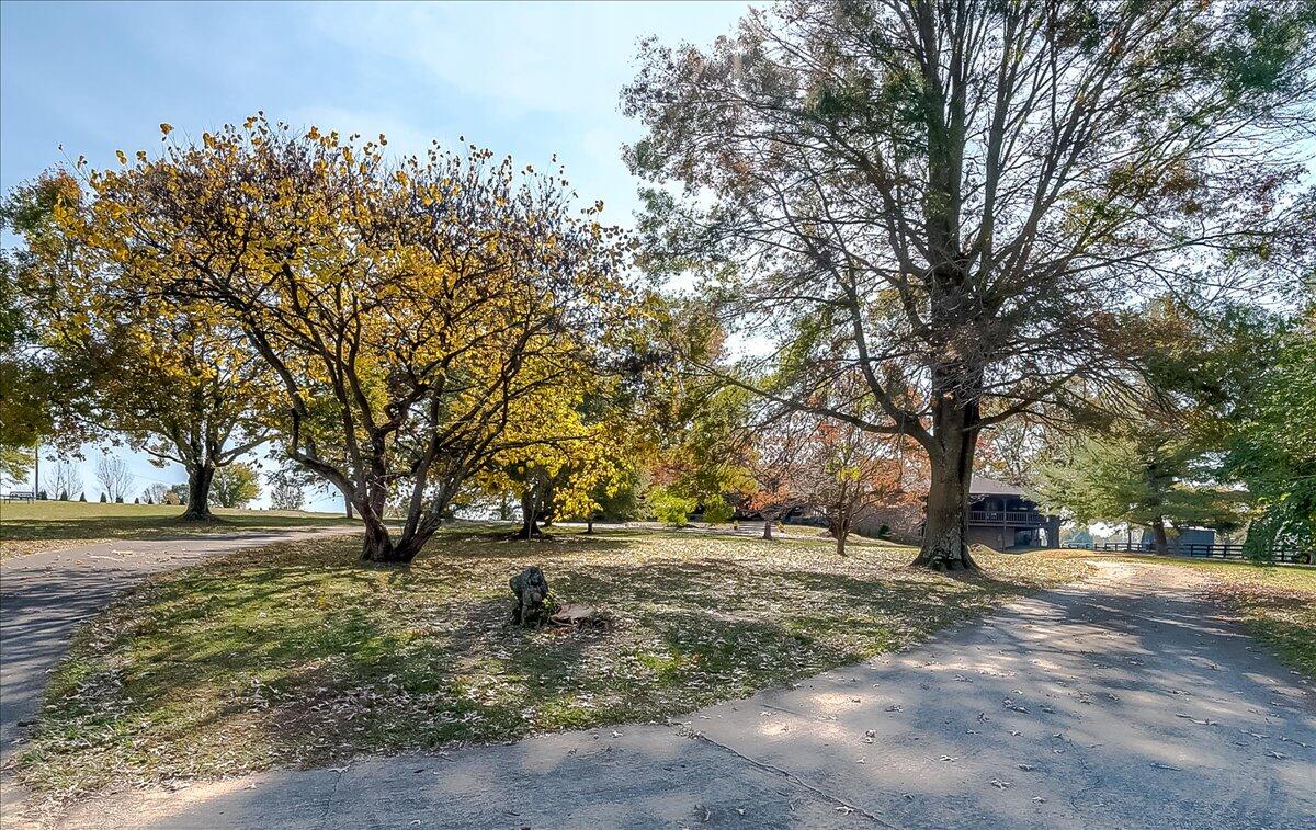 5376 Stewart Road Lexington, KY 40516 - Photo 88 of 98 Drive Way