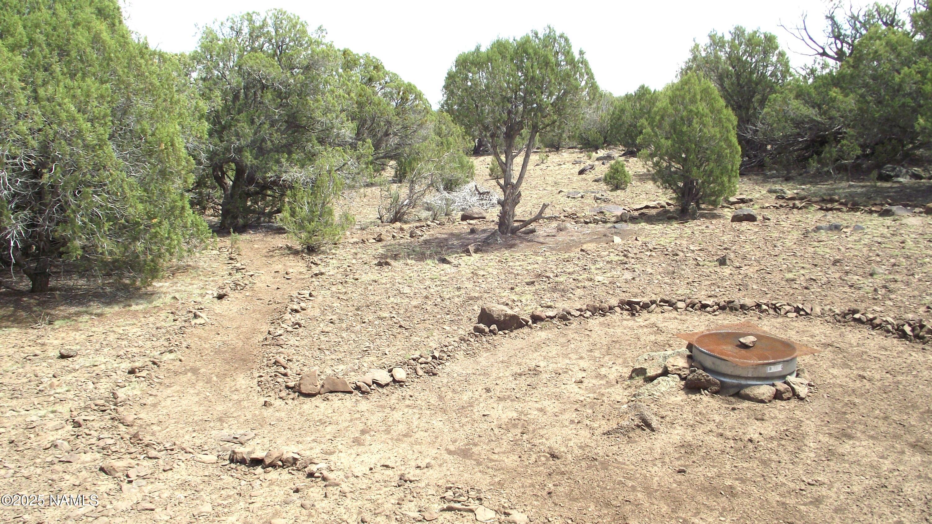 13 Westwood Ranch Road Williams, AZ 86046 - Photo 18 of 31 a view of a yard with wooden fence