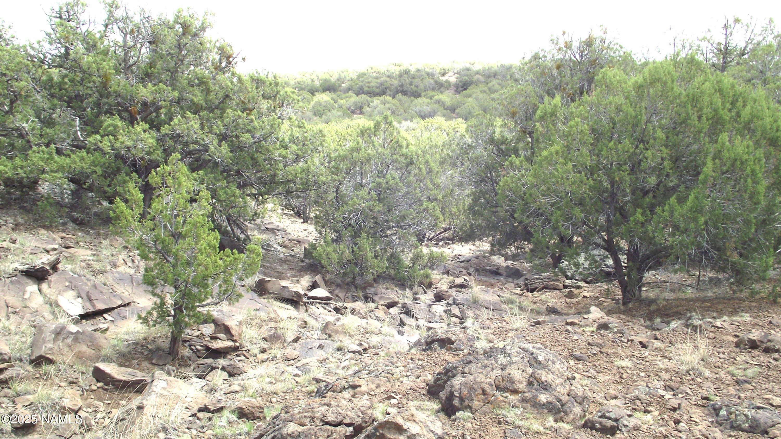 13 Westwood Ranch Road Williams, AZ 86046 - Photo 28 of 31 a view of a yard with plants and wooden fence