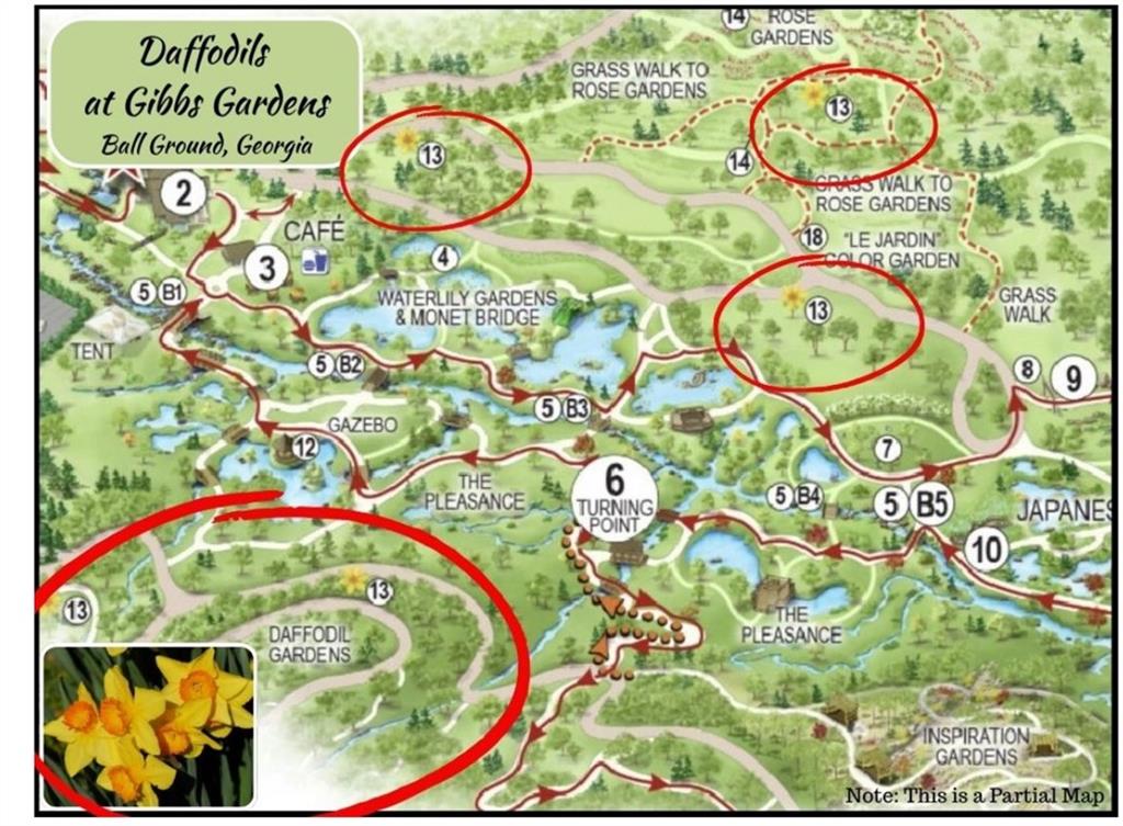 4265 Trinity Oaks Trail Cumming, GA 30040 - Photo 24 of 25