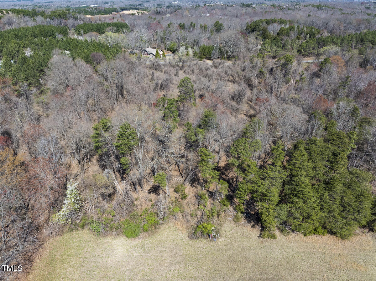 Lot-2 Goodman Road Pelham, NC 27311 - Photo 18 of 28 Caswell Co. NC 2.64-Skyview-Lot 2-18