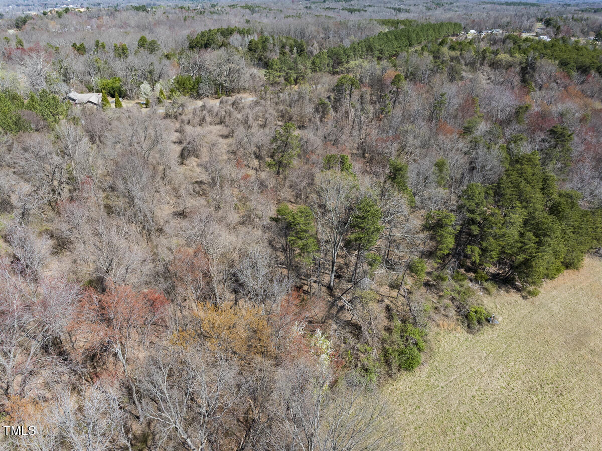 Lot-2 Goodman Road Pelham, NC 27311 - Photo 7 of 28 Caswell Co. NC 2.64-Skyview-Lot 2-07
