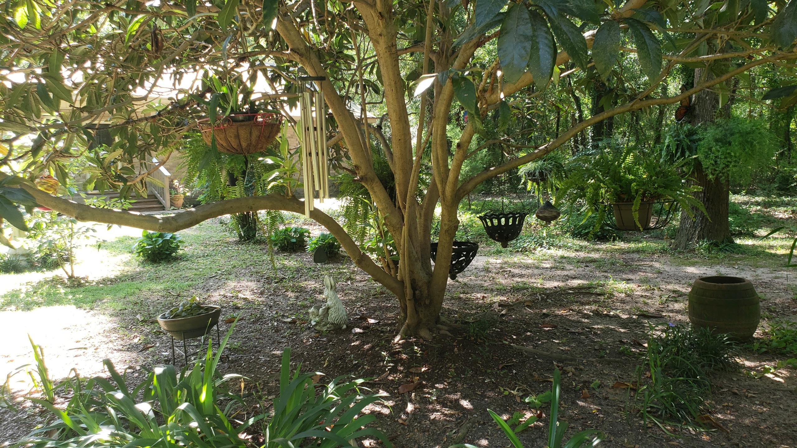 564 Harbuck Road DeFuniak Springs, FL 32433 - Photo 18 of 19 a backyard of a house with lots of green space