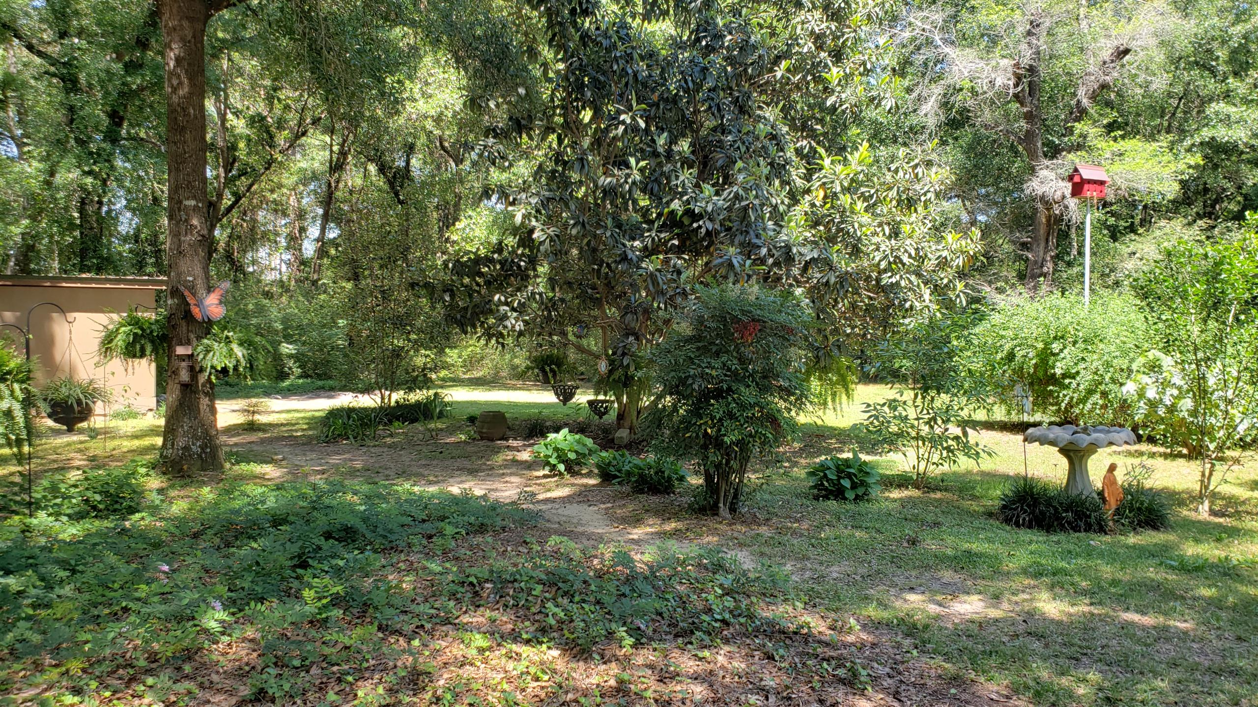 564 Harbuck Road DeFuniak Springs, FL 32433 - Photo 19 of 19 a backyard of a house with lots of green space