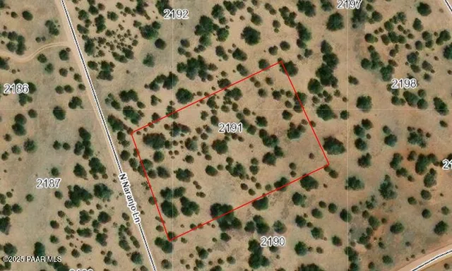 a bathroom with a shower curtain