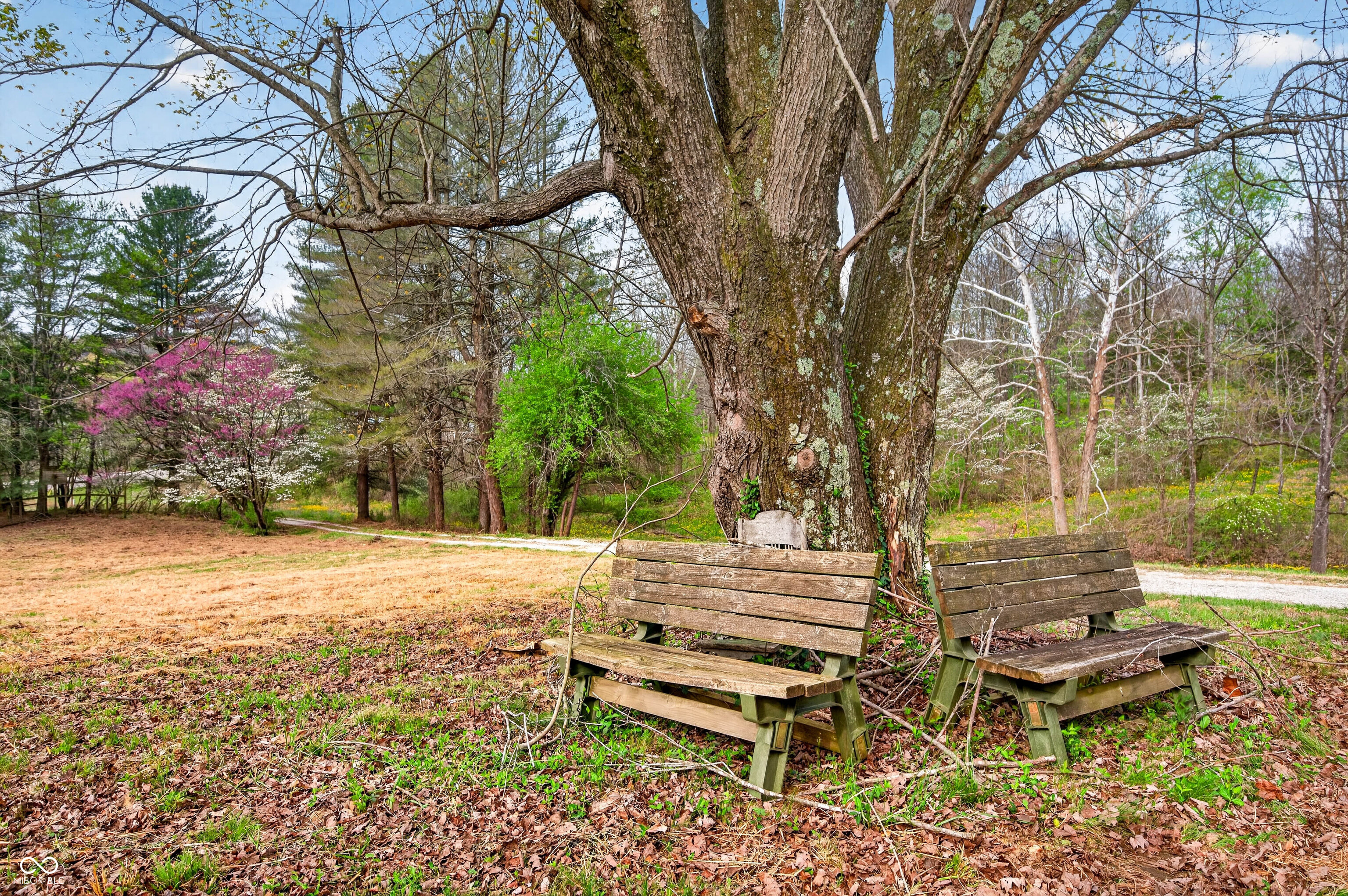 1081 Highway 50 Mitchell, IN 47446 - Photo 44 of 63