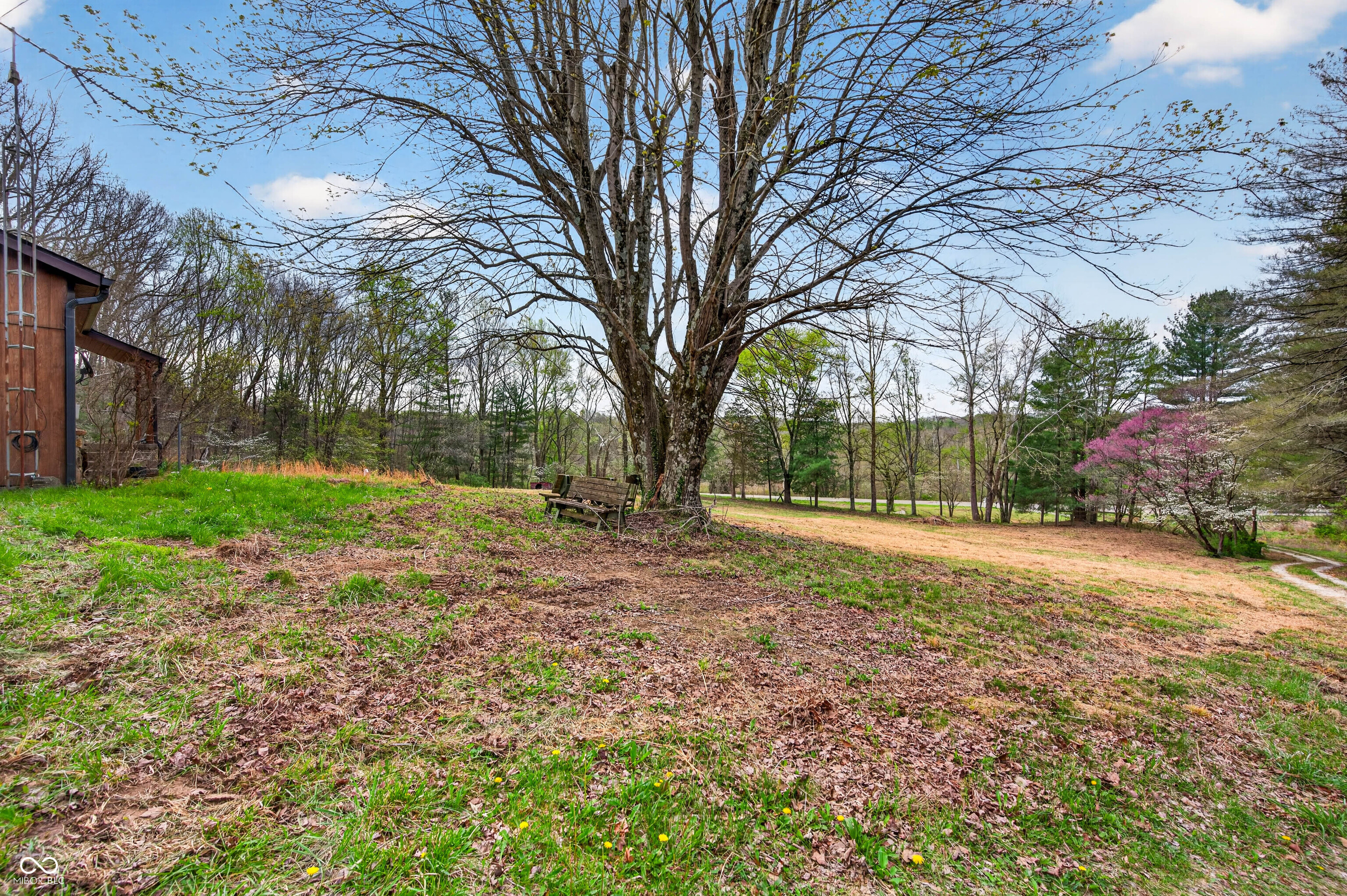 1081 Highway 50 Mitchell, IN 47446 - Photo 54 of 63