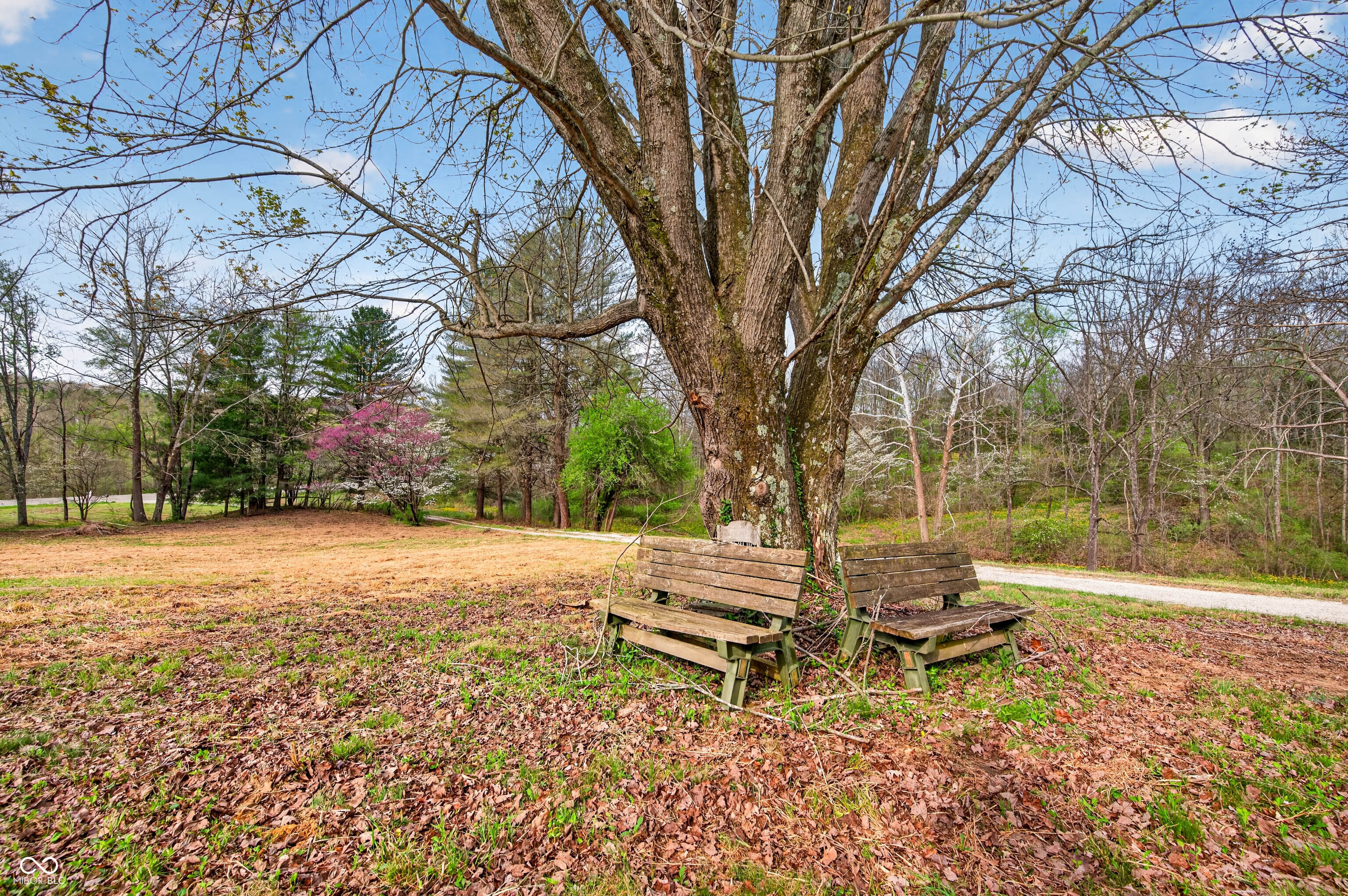 1081 Highway 50 Mitchell, IN 47446 - Photo 59 of 63