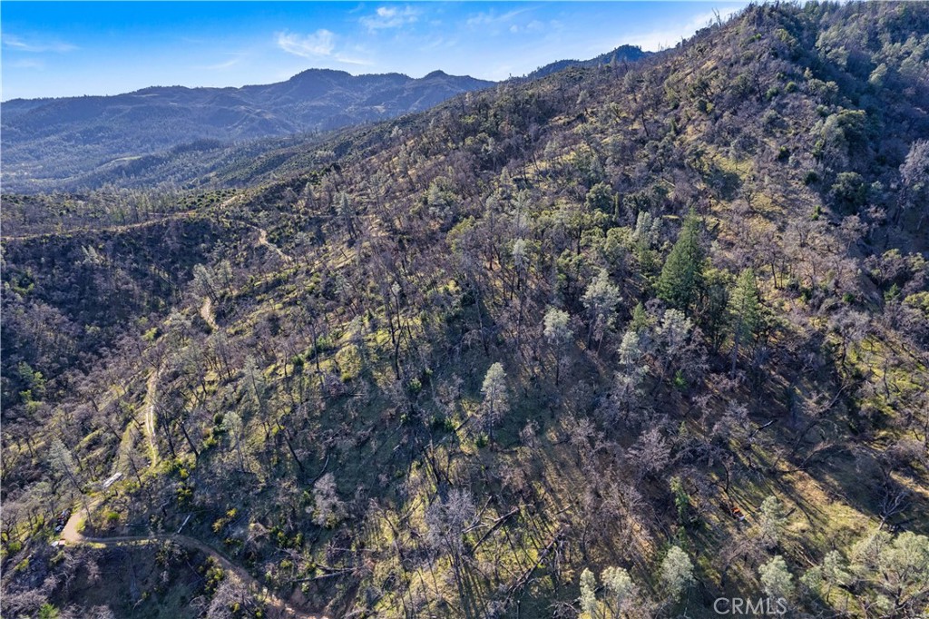 1160 Aetna Springs Road Pope Valley, CA 94567 - Photo 9 of 13 a view of a large tree
