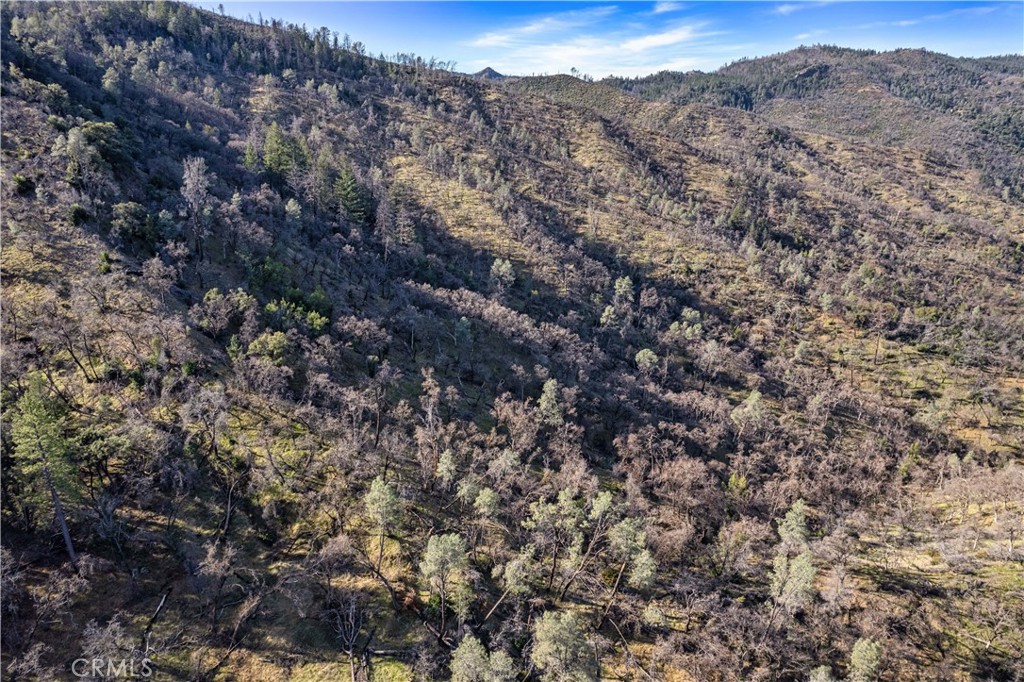 1160 Aetna Springs Road Pope Valley, CA 94567 - Photo 10 of 13 a view of a dry yard with lots of bushes