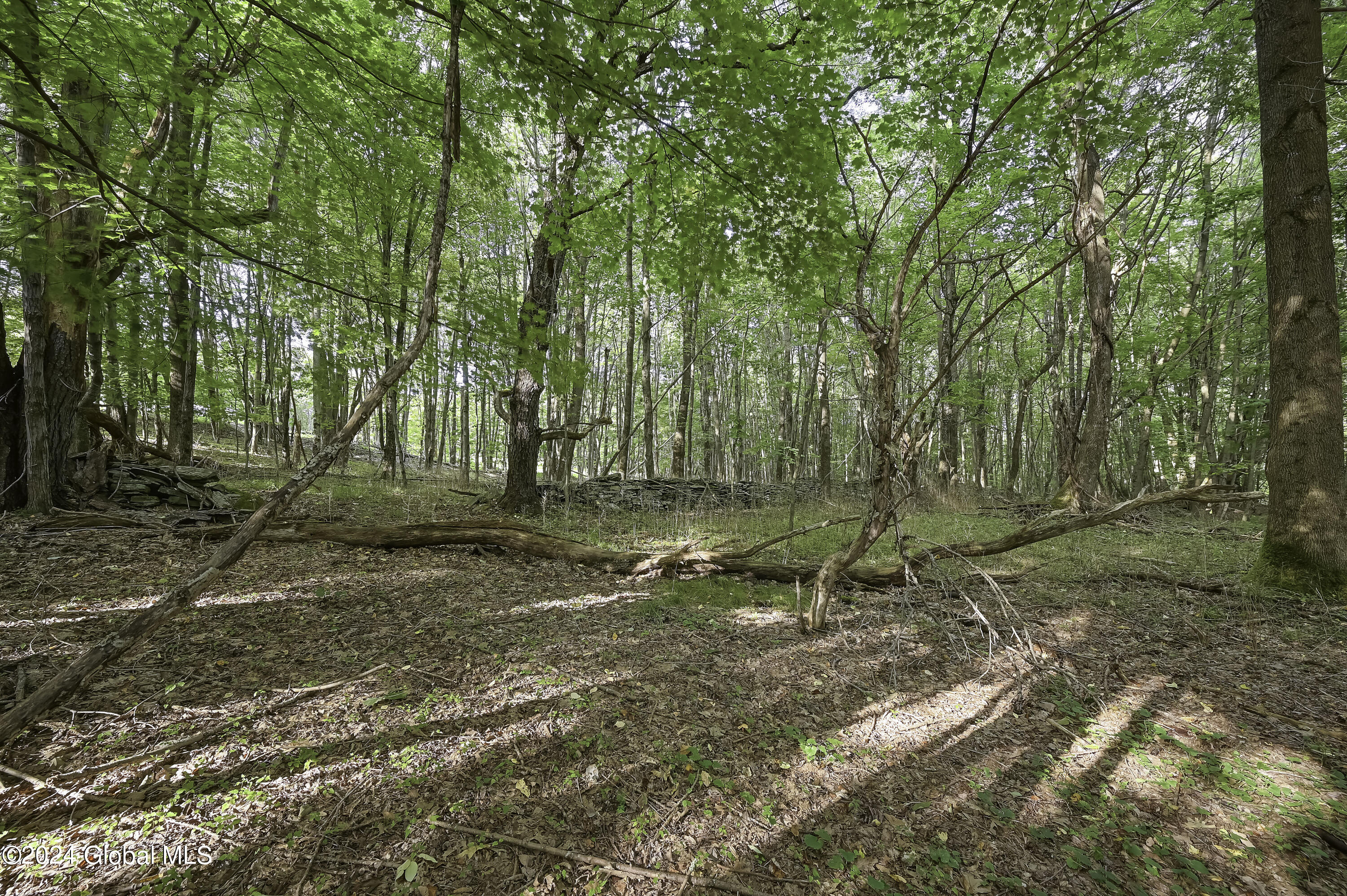 L3.21 Otte Road Fulton, NY 12194 - Photo 11 of 15 Camera L3.21 Otte Rd Fulton, NY-5