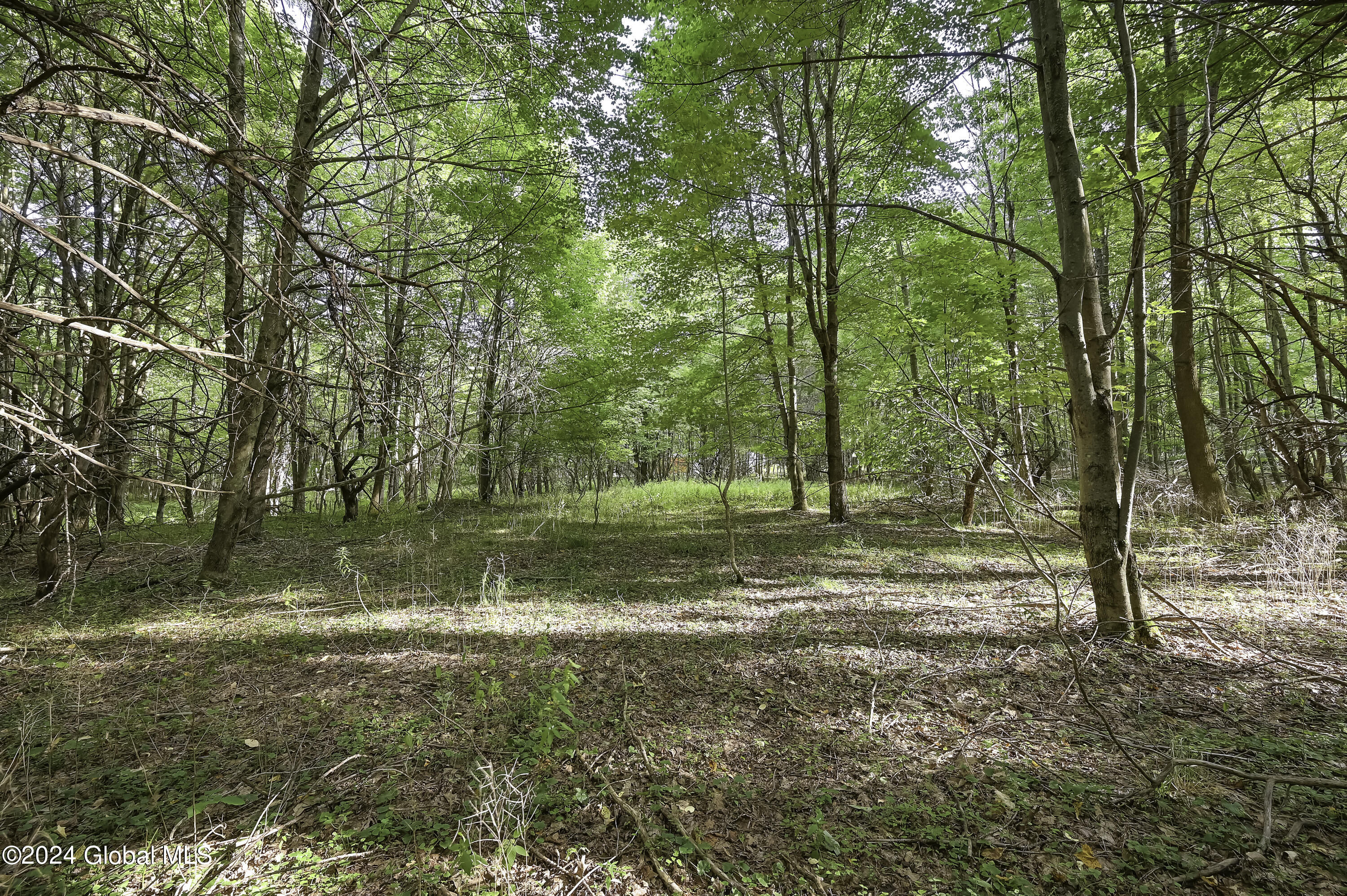 L3.21 Otte Road Fulton, NY 12194 - Photo 12 of 15 Camera L3.21 Otte Rd Fulton, NY-6