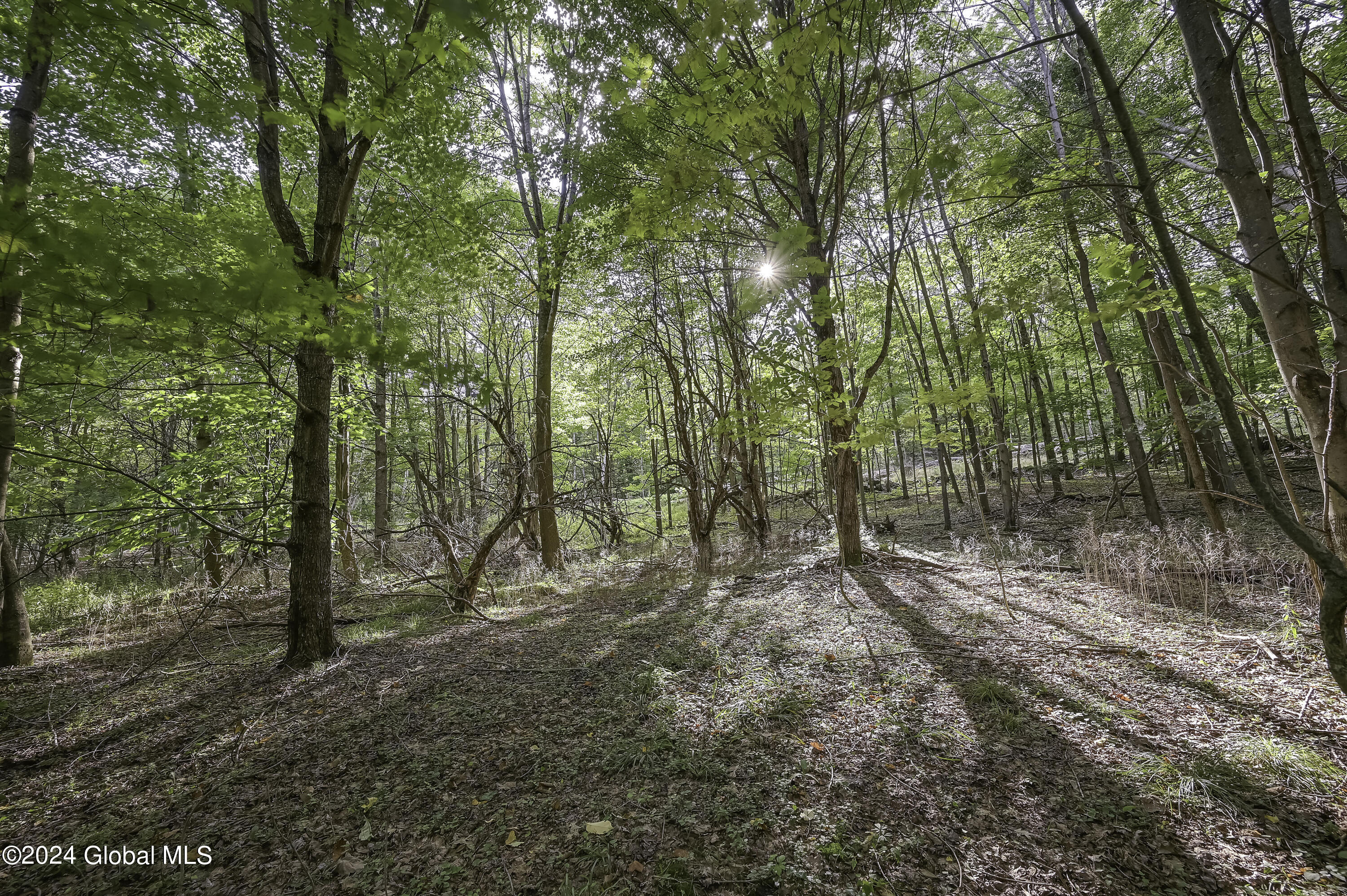 L3.21 Otte Road Fulton, NY 12194 - Photo 13 of 15 Camera L3.21 Otte Rd Fulton, NY-7