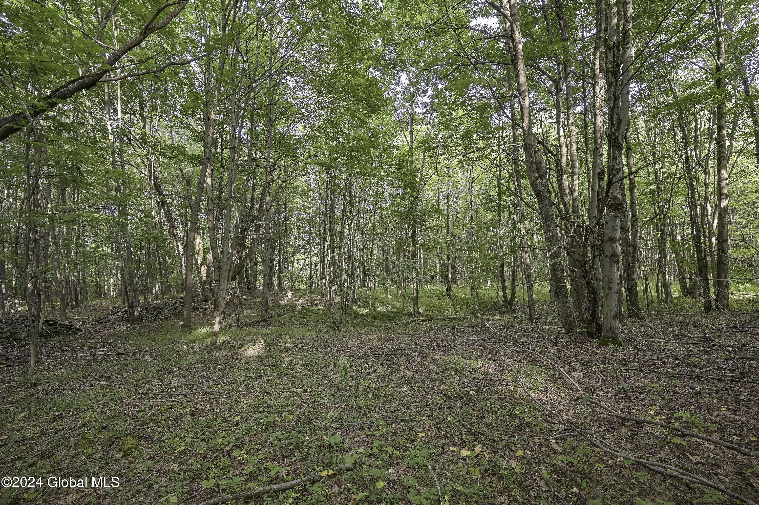 L3.21 Otte Road Fulton, NY 12194 - Photo 14 of 15 Camera L3.21 Otte Rd Fulton, NY-8