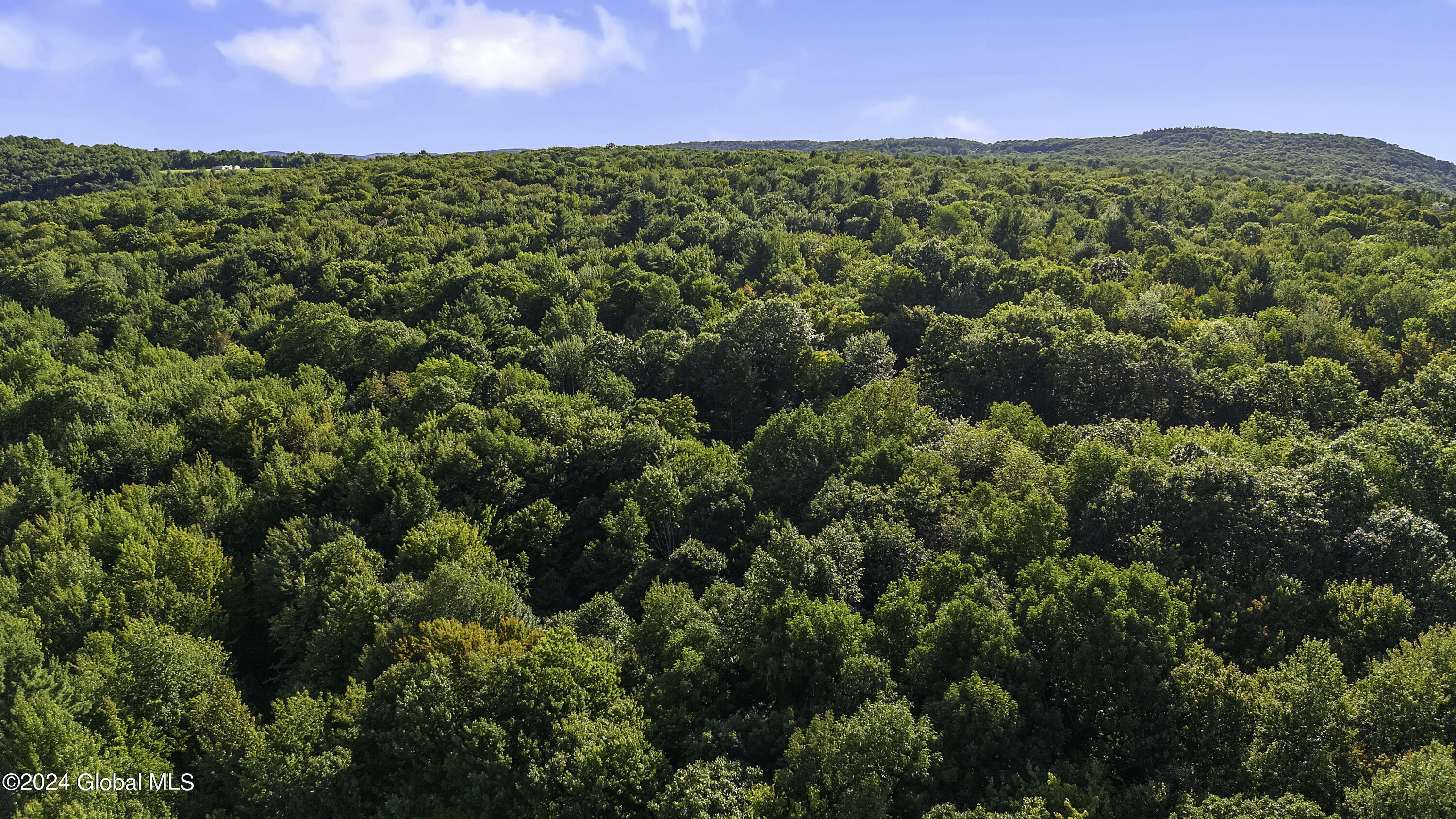 L3.21 Otte Road Fulton, NY 12194 - Photo 15 of 15 Drone L3.21 Otte Rd Fulton, NY-1