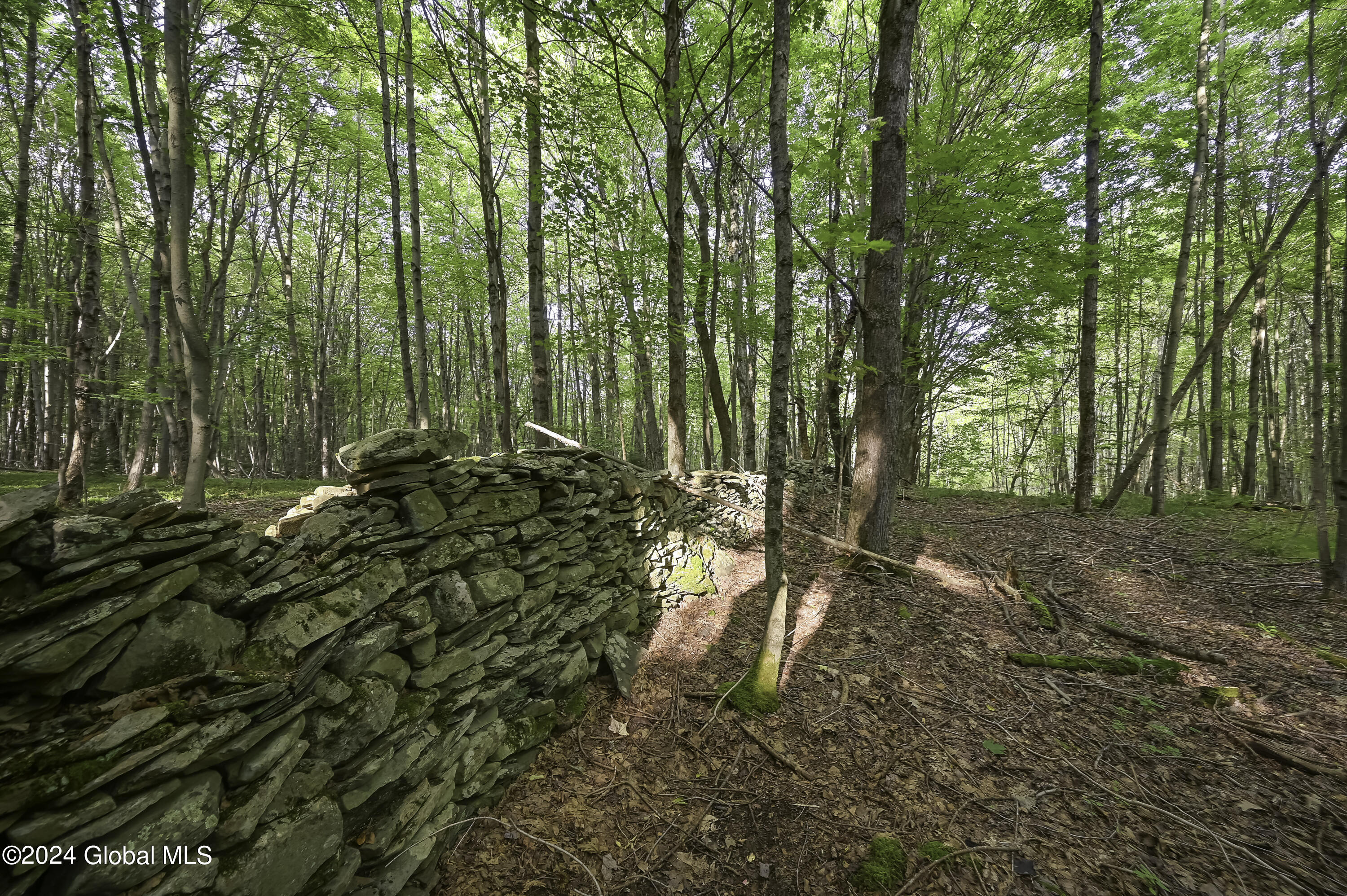 L3.21 Otte Road Fulton, NY 12194 - Photo 2 of 15 Camera L3.21 Otte Rd Fulton, NY-11