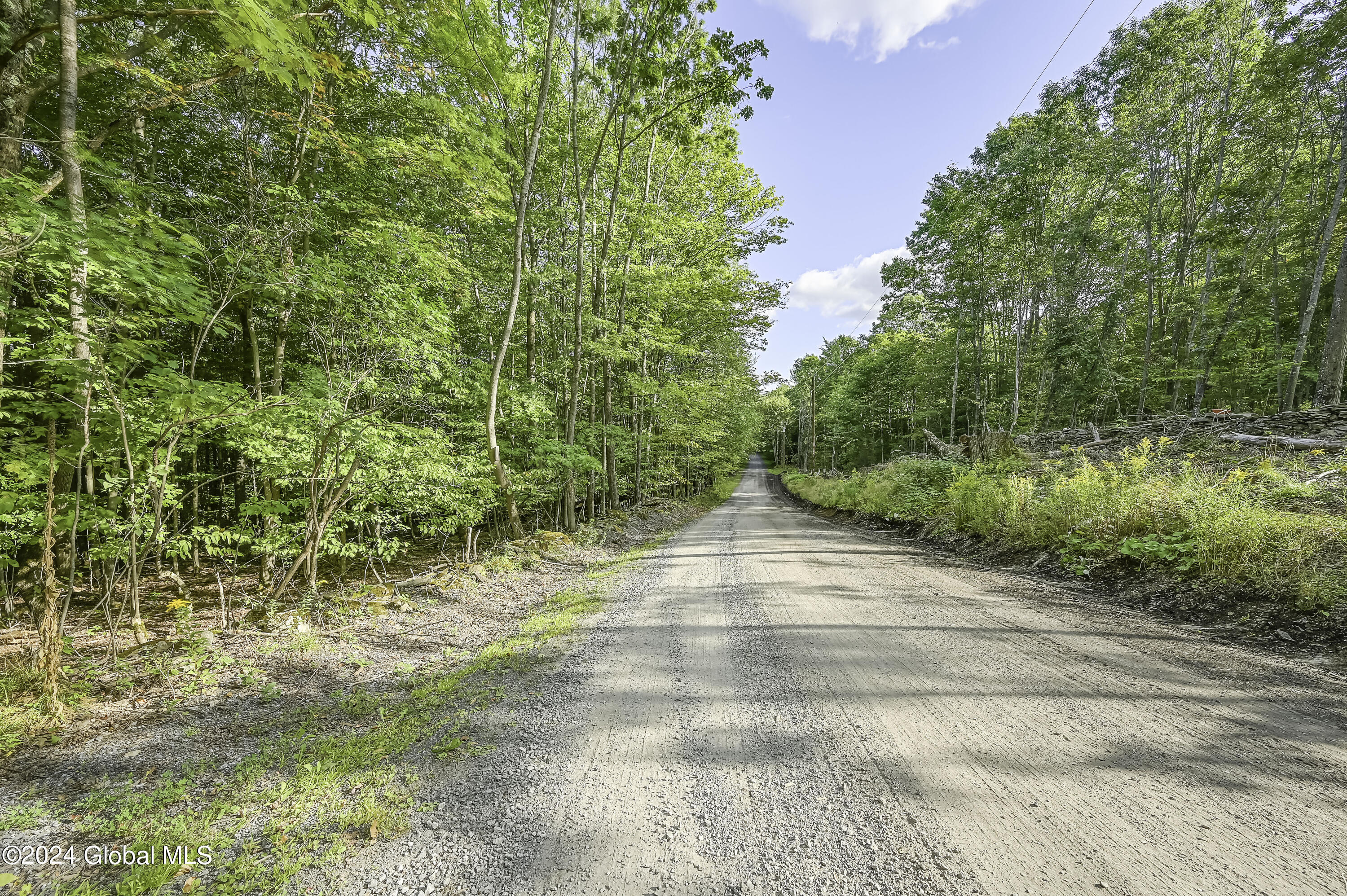 L3.21 Otte Road Fulton, NY 12194 - Photo 4 of 15 Camera L3.21 Otte Rd Fulton, NY-1