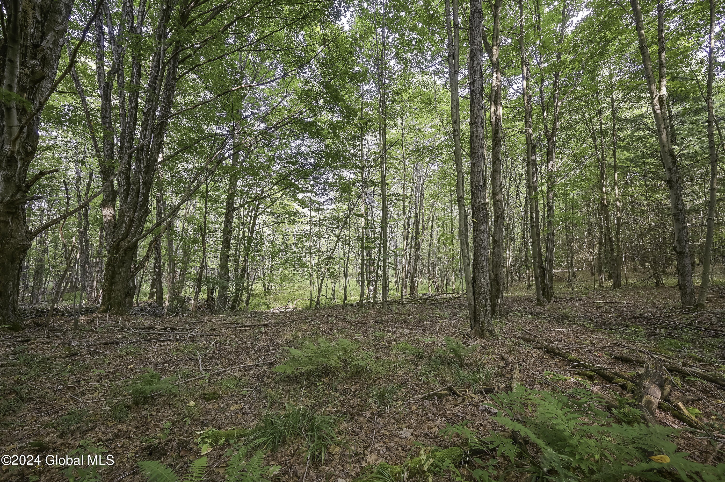 L3.21 Otte Road Fulton, NY 12194 - Photo 5 of 15 Camera L3.21 Otte Rd Fulton, NY-13