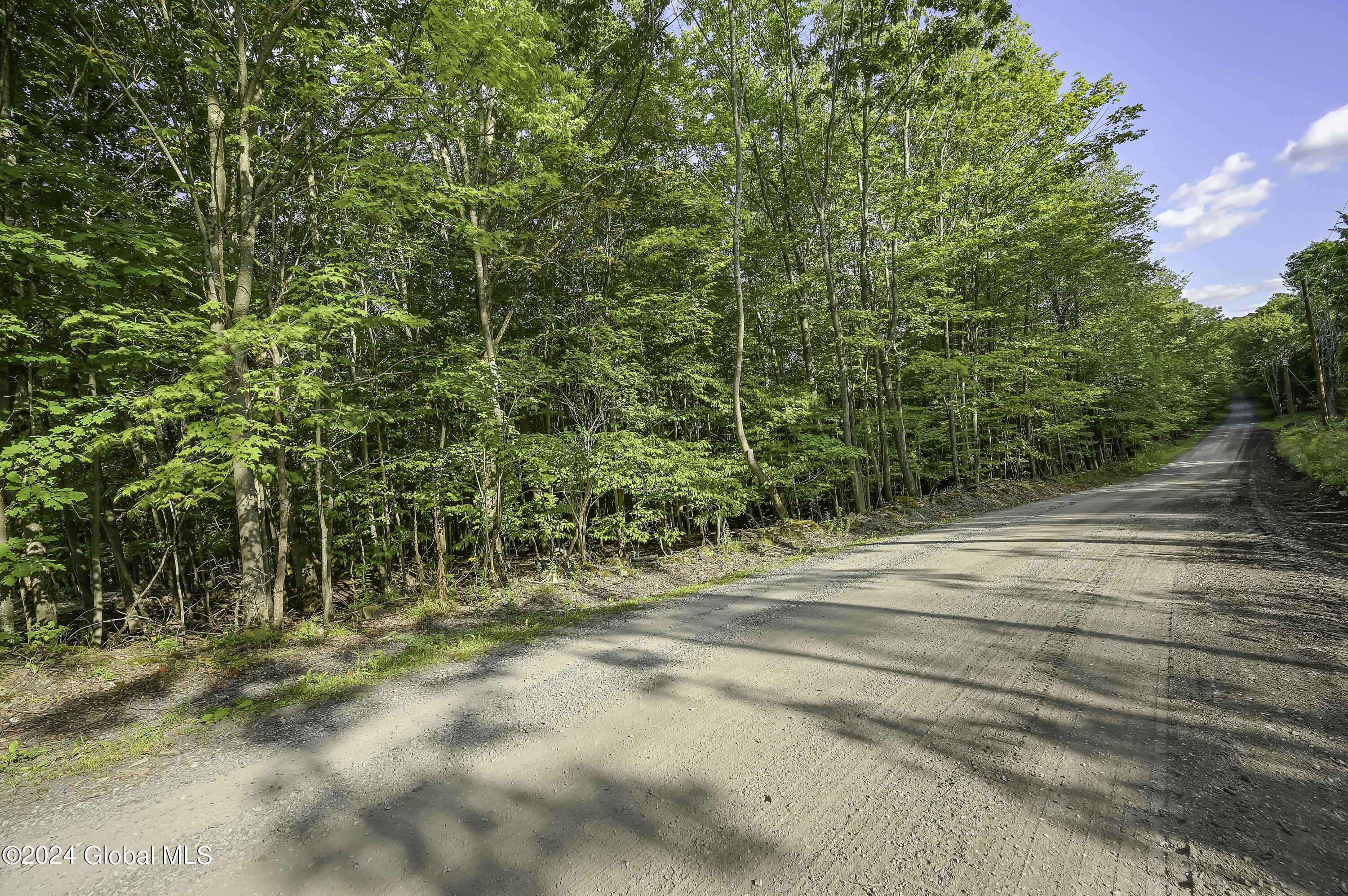 L3.21 Otte Road Fulton, NY 12194 - Photo 6 of 15 Camera L3.21 Otte Rd Fulton, NY-2