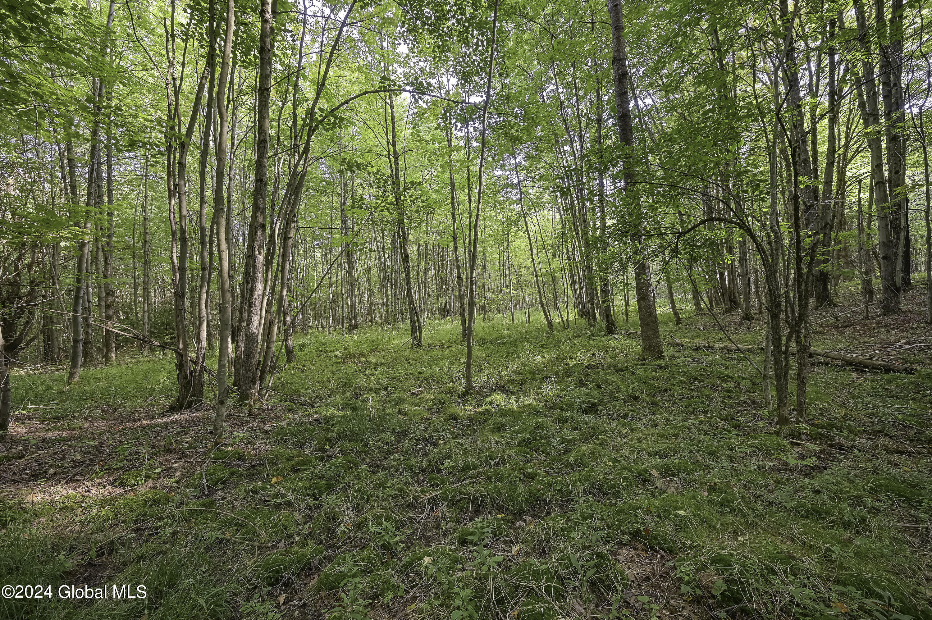 L3.21 Otte Road Fulton, NY 12194 - Photo 7 of 15 Camera L3.21 Otte Rd Fulton, NY-10