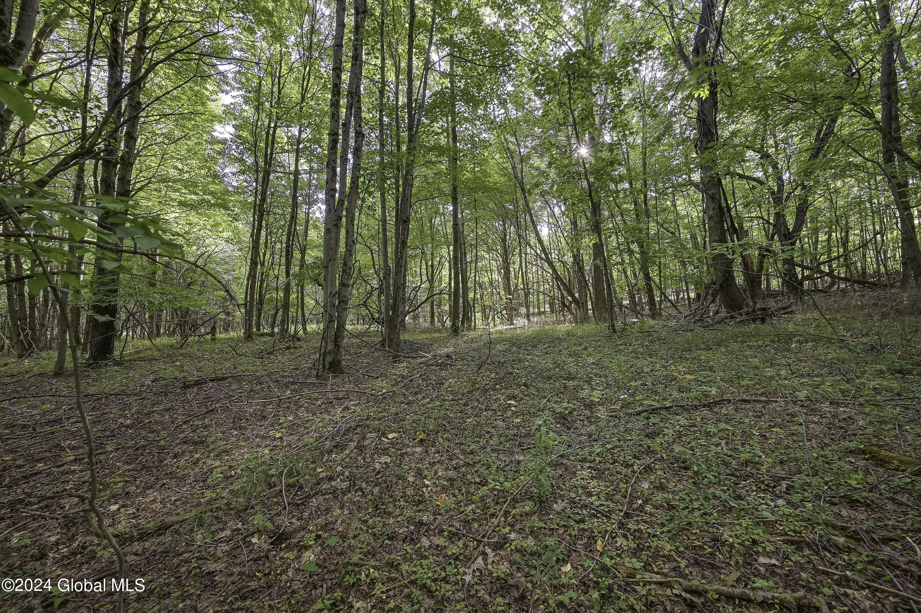 L3.21 Otte Road Fulton, NY 12194 - Photo 8 of 15 Camera L3.21 Otte Rd Fulton, NY-9