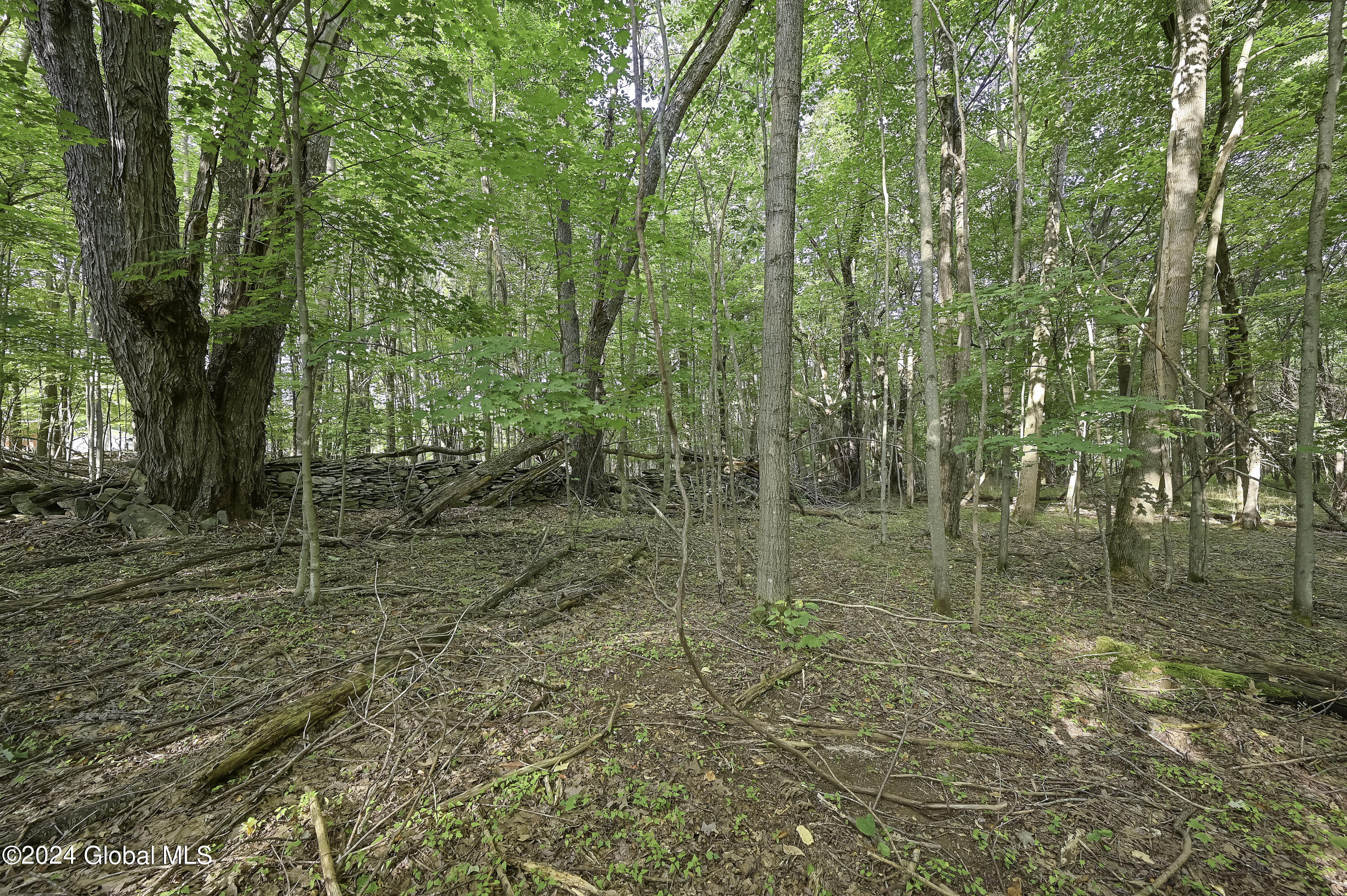 L3.21 Otte Road Fulton, NY 12194 - Photo 10 of 15 Camera L3.21 Otte Rd Fulton, NY-4