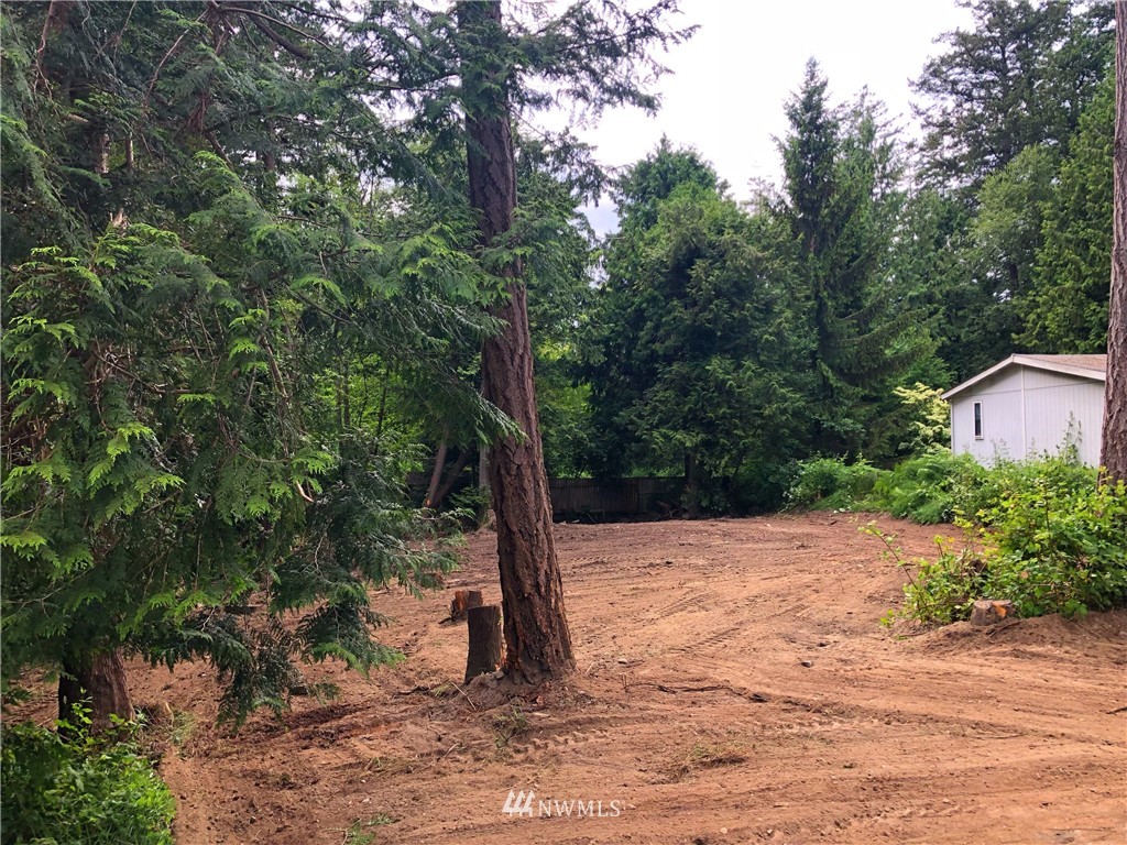 -xxx Mill Road Point Roberts, WA 98281 - Photo 3 of 5