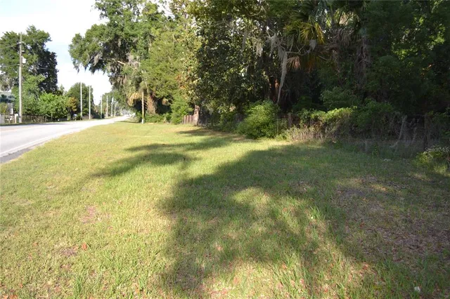a view of a garden with large trees