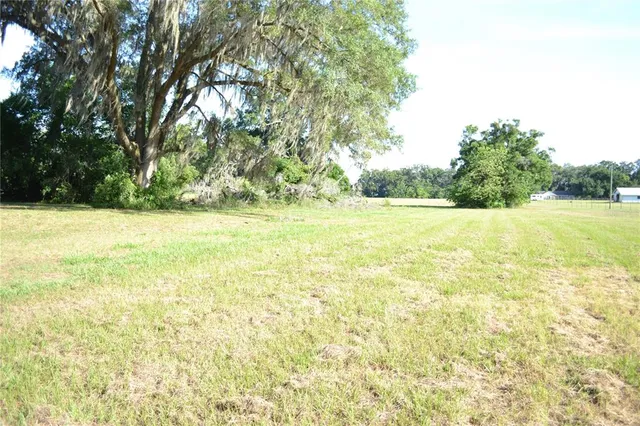 a view of a yard with a tree