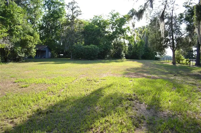 a view of a field with trees