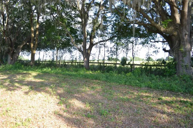 a view of a yard with a tree