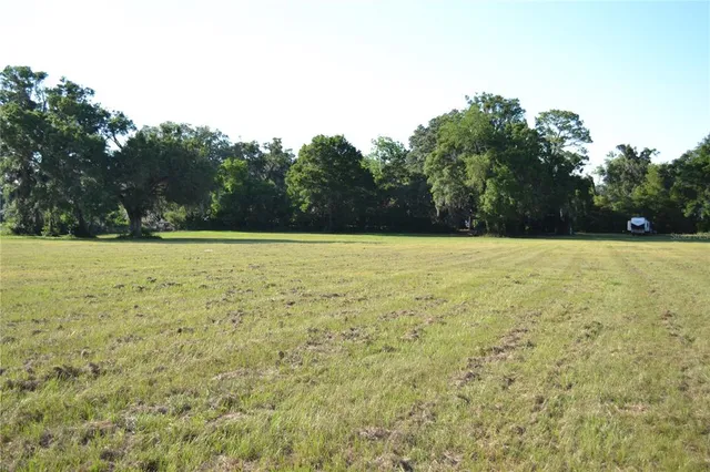 a view of empty field with trees
