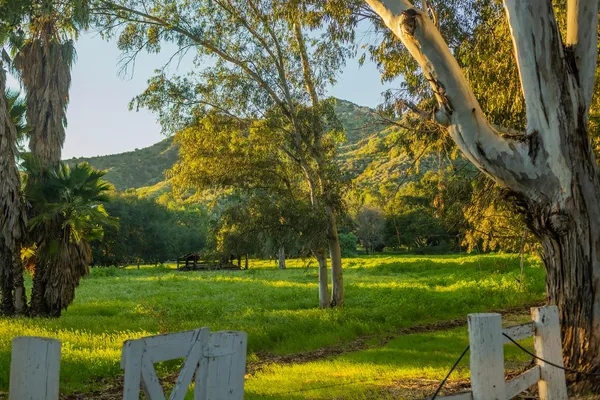 $4,500,000 | 1519 Ayers Avenue, Ojai, CA 93023