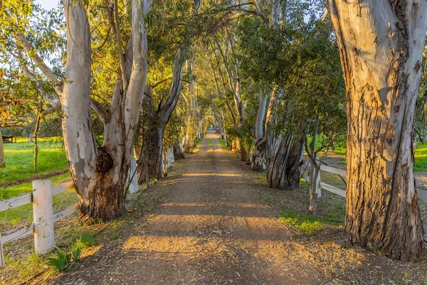 $4,500,000 | 1519 Ayers Avenue, Ojai, CA 93023