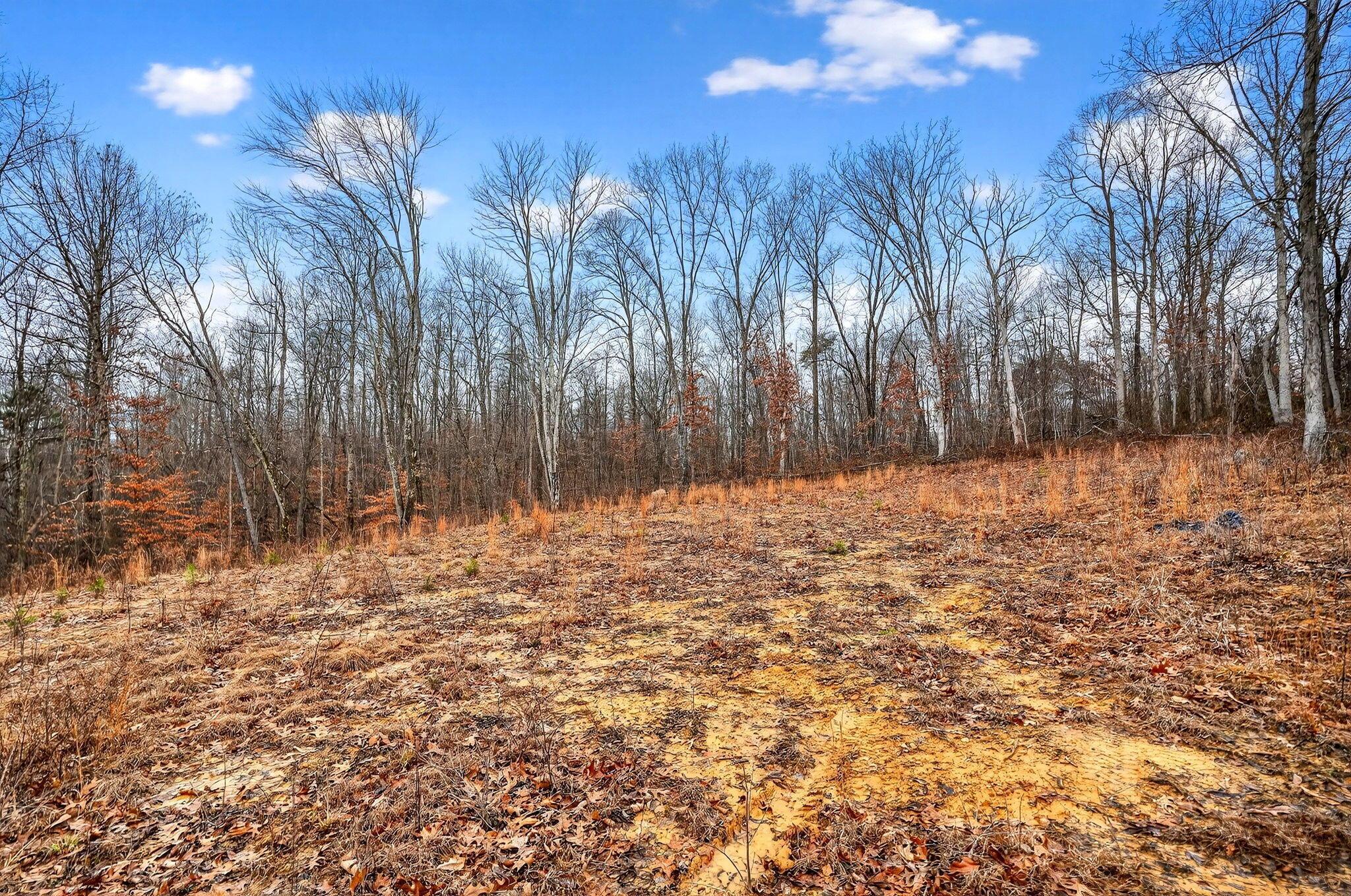 3133 4 Mile Road Jackson, OH 45640 - Photo 11 of 40 10. 3133 Four Mile Rd 39