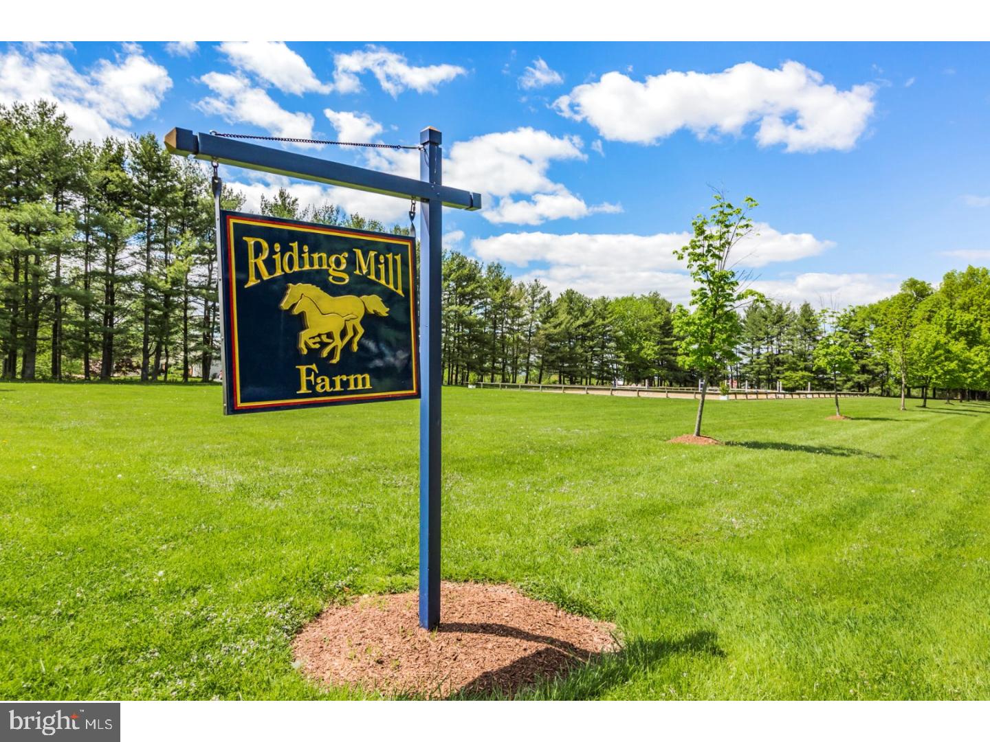 48 Saddle Shop Road Ringoes, NJ 08551 - Photo 4 of 51 Gallery Image 4