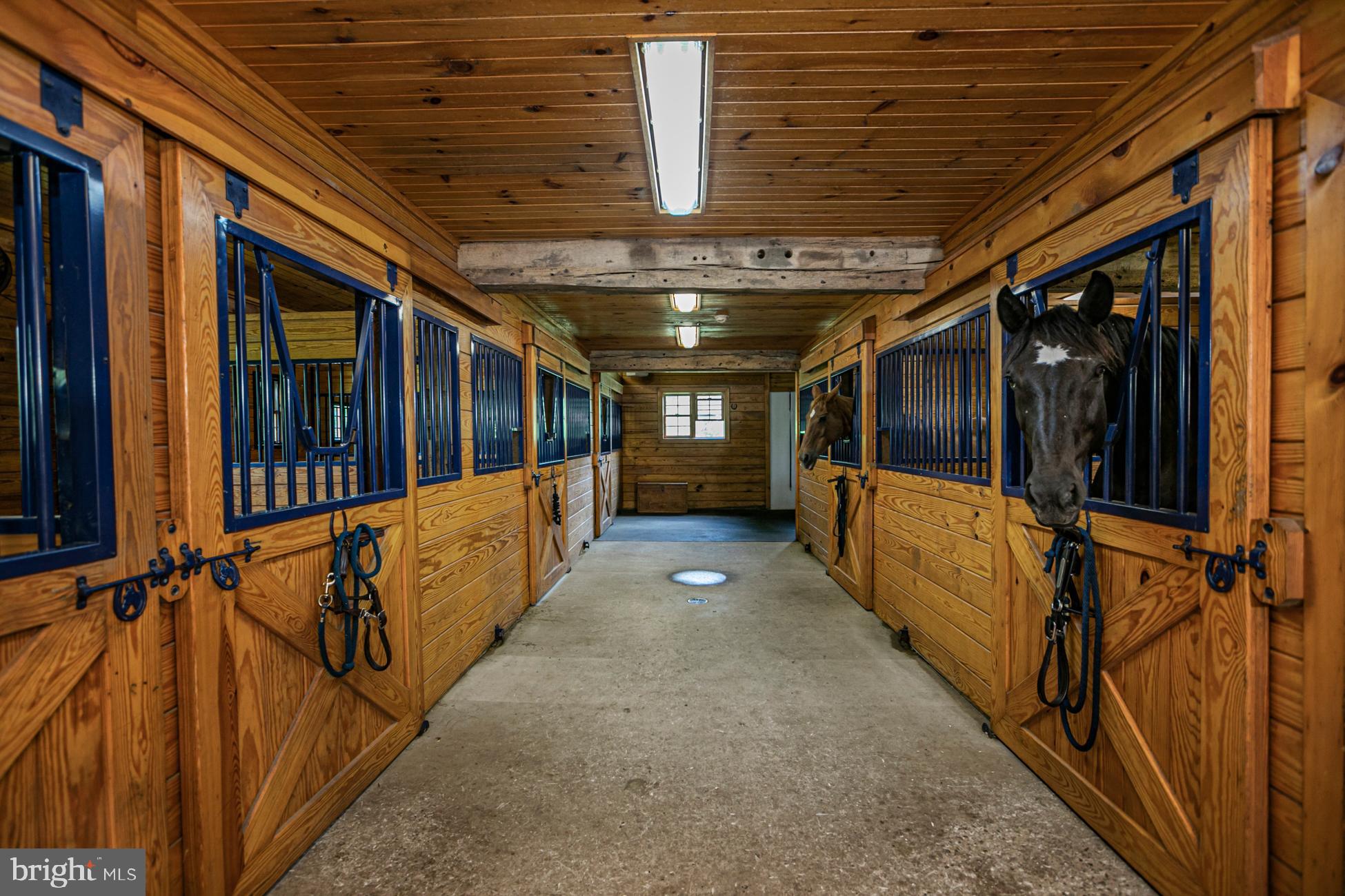 48 Saddle Shop Road Ringoes, NJ 08551 - Photo 35 of 51 Gallery Image 35
