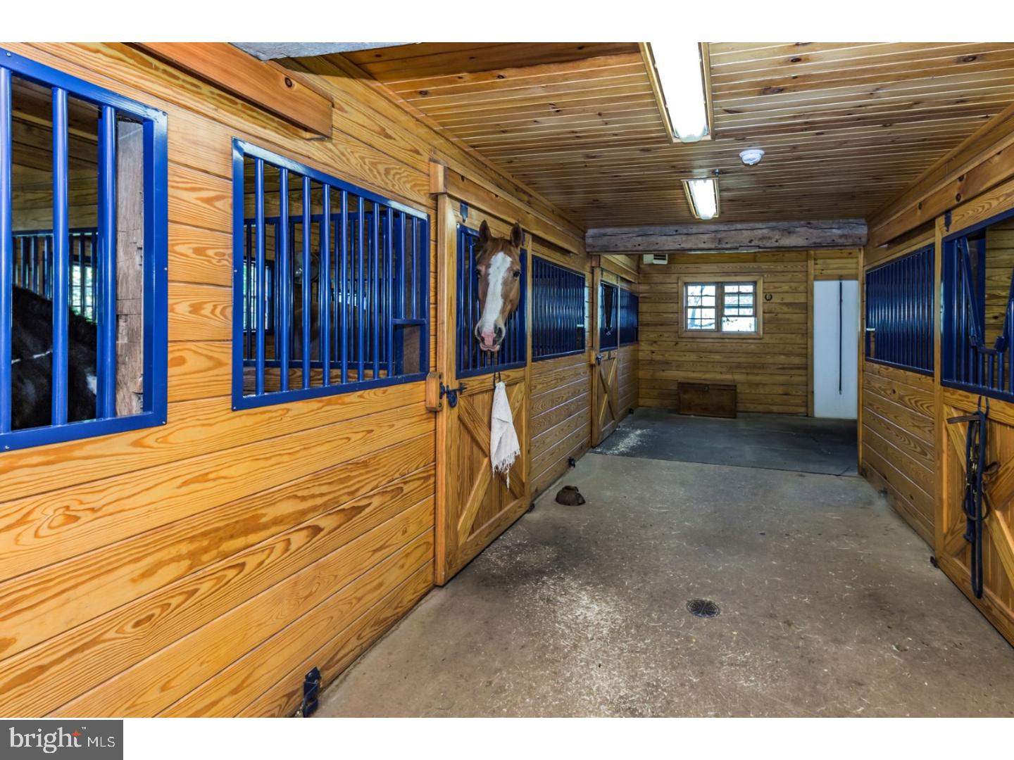48 Saddle Shop Road Ringoes, NJ 08551 - Photo 36 of 51 Gallery Image 36