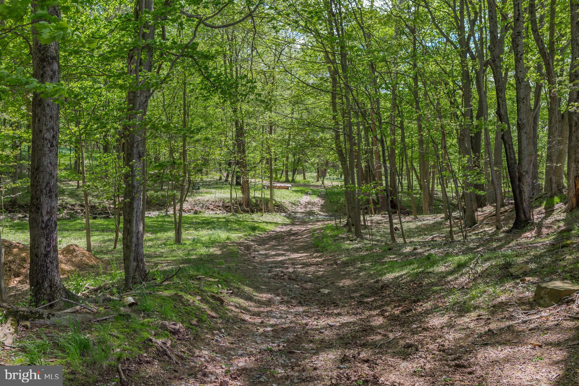 48 Saddle Shop Road Ringoes, NJ 08551 - Photo 47 of 51 Gallery Image 47