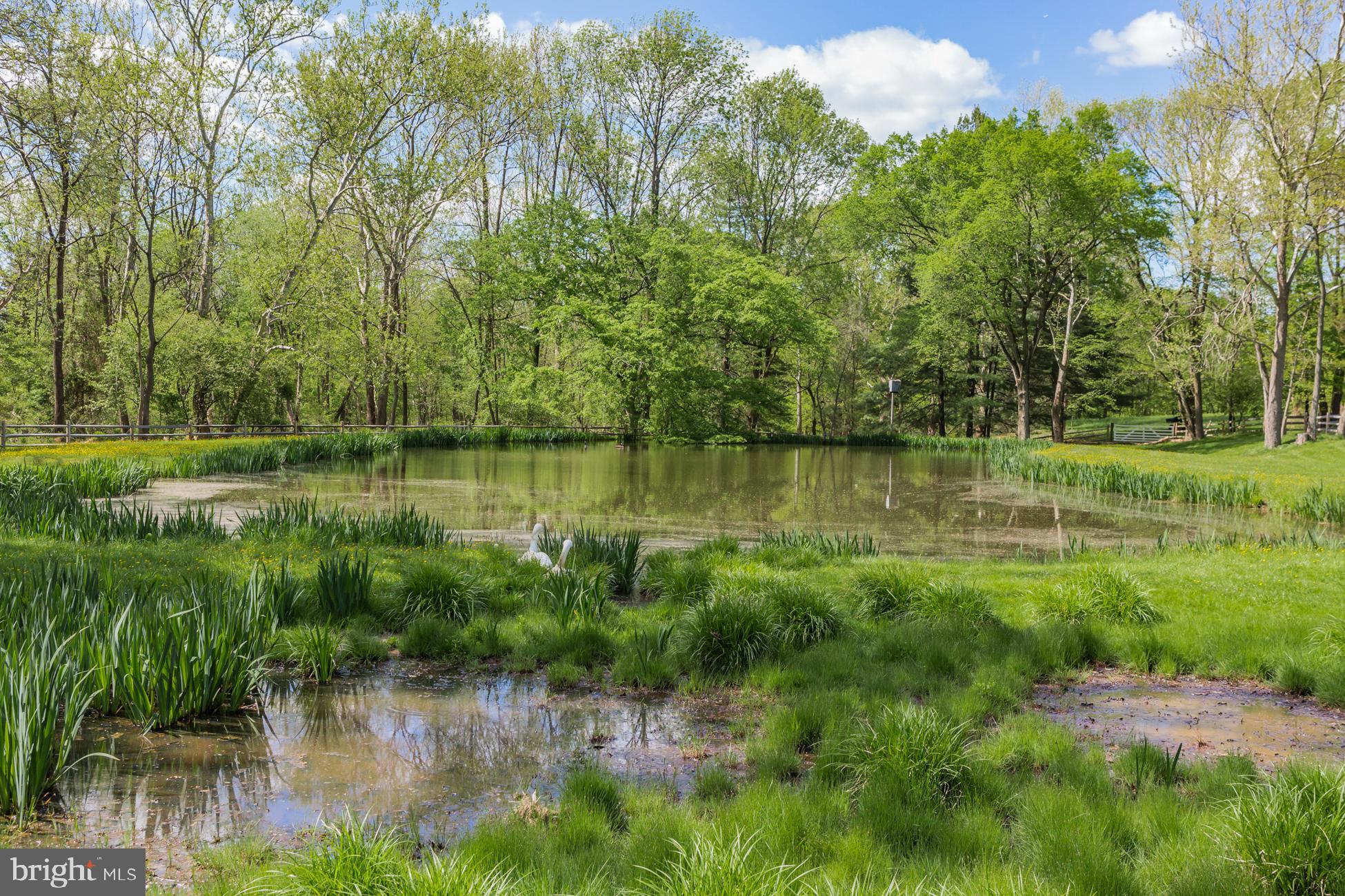 48 Saddle Shop Road Ringoes, NJ 08551 - Photo 49 of 51 Gallery Image 49