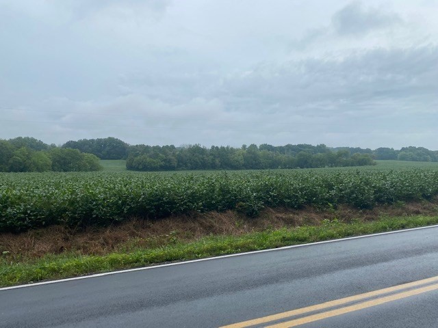 968 County Road Delano, TN 37325 - Photo 9 of 9
