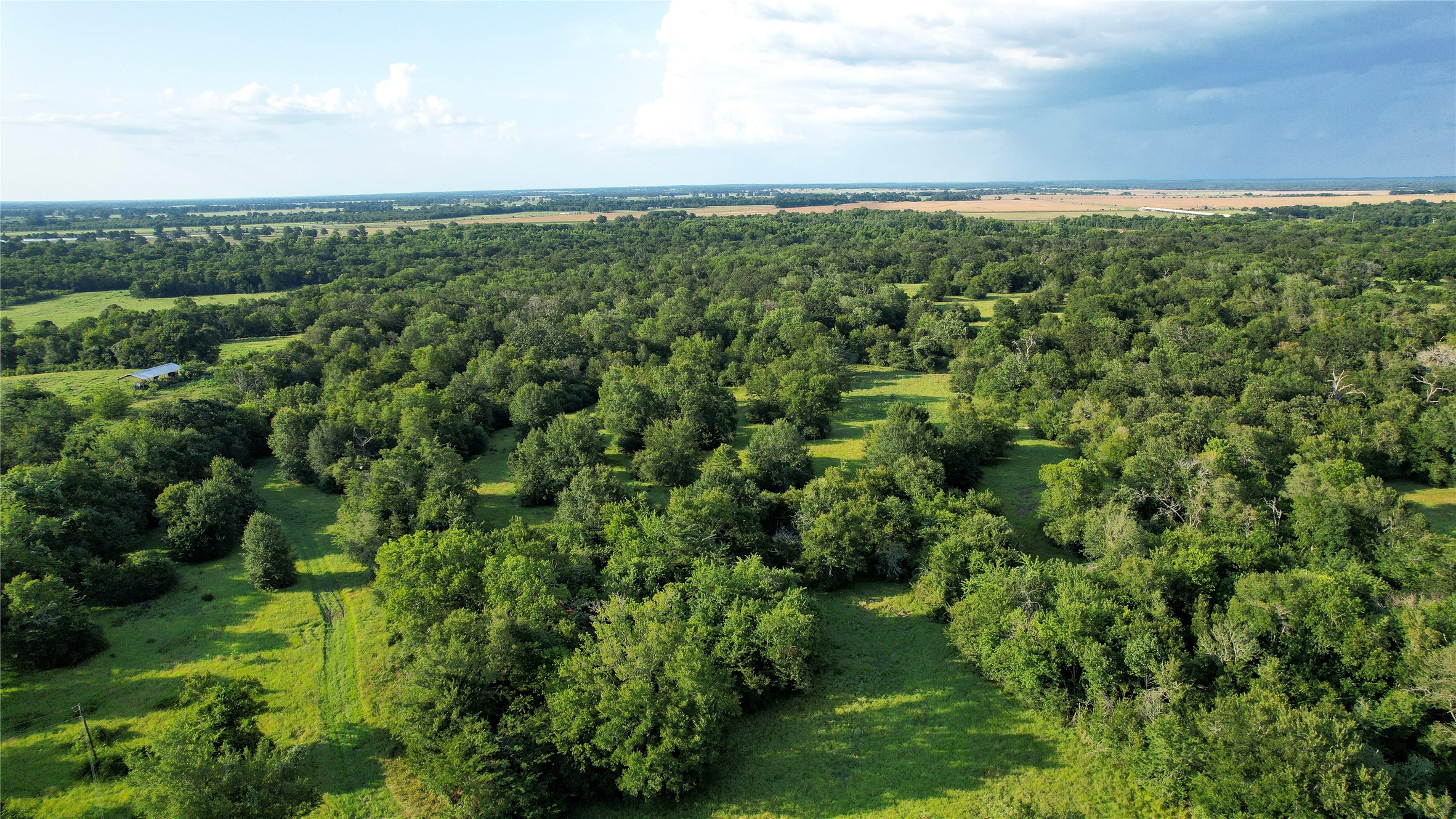Tbd Antioch Road Midway, TX 75852 - Photo 5 of 25 Gallery Image 5