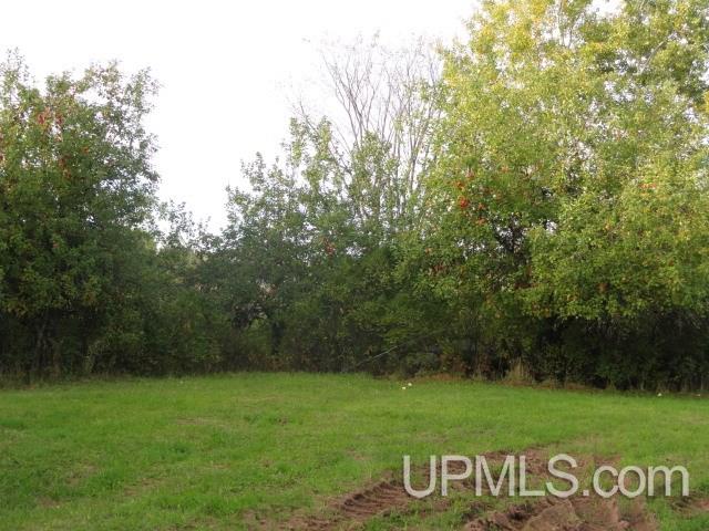 14966 2 Mile Road Bruce Crossing, MI 49912 - Photo 22 of 24