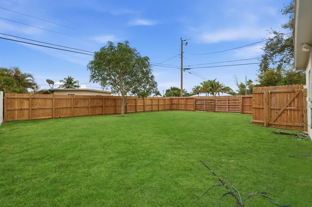 a view of a back yard