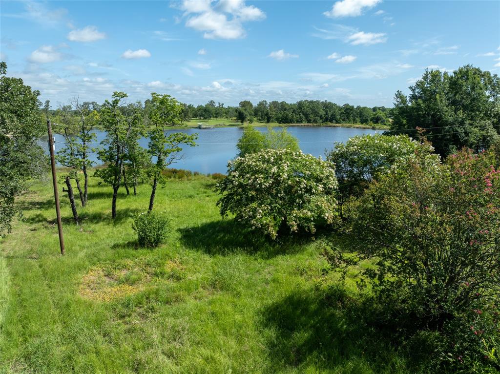 2851 County Road 33900 Powderly, TX 75473 - Photo 6 of 8 a view of a garden with a lake