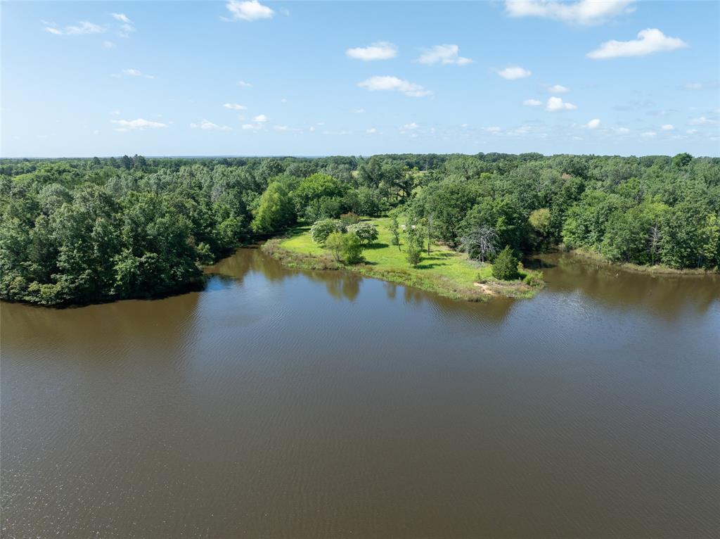 2851 County Road 33900 Powderly, TX 75473 - Photo 7 of 8 a view of a lake with outdoor space