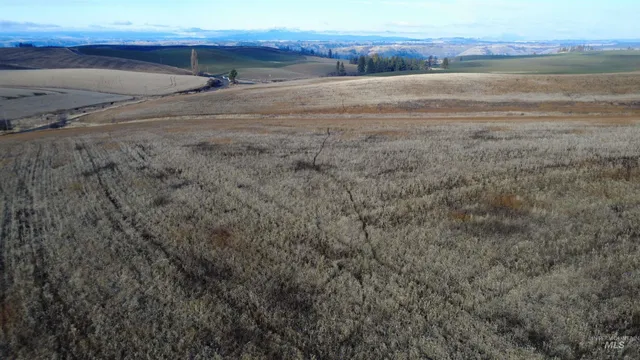$649,000 | Tbd Tbd North Road, Kendrick, ID 83537