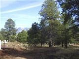 0 South Pyrite Road Flagstaff, AZ 86005 - Photo 1 of 1 Primary Photo