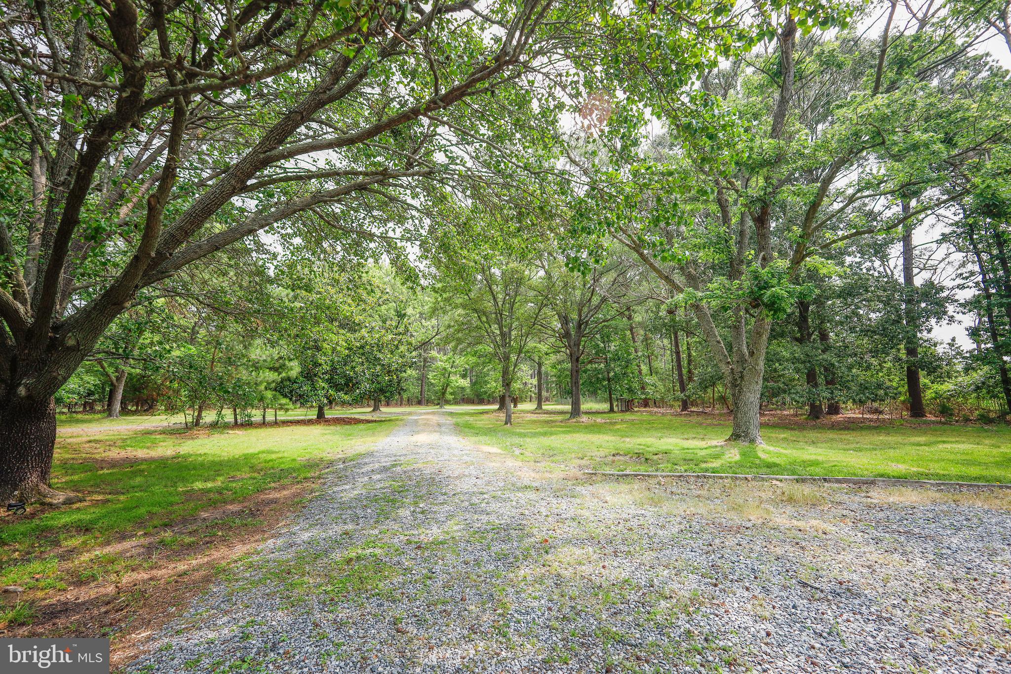 4004 Robinson Neck Road Taylors Island, MD 21669 - Photo 64 of 83 Lovely stoned driveway and foliage