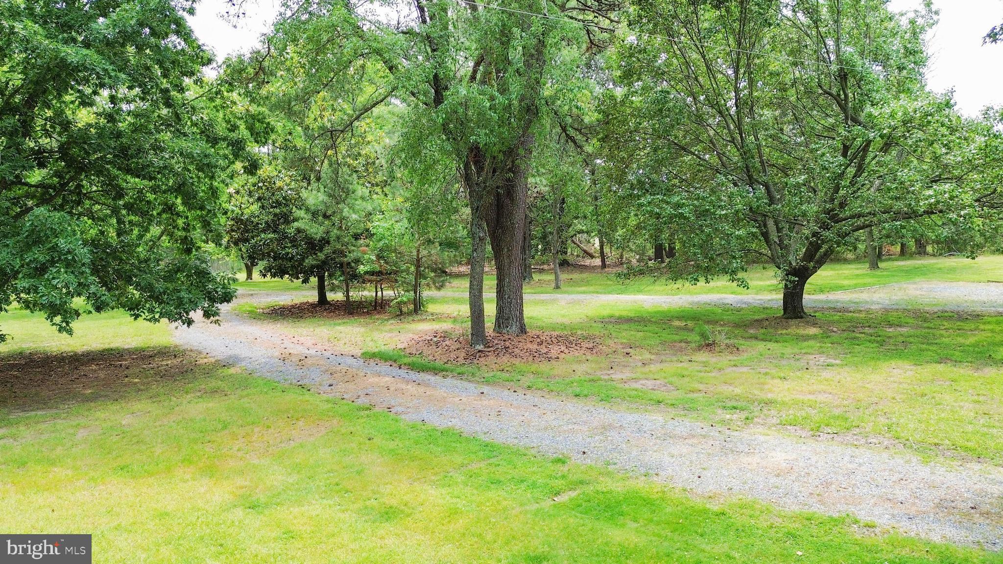 4004 Robinson Neck Road Taylors Island, MD 21669 - Photo 65 of 83